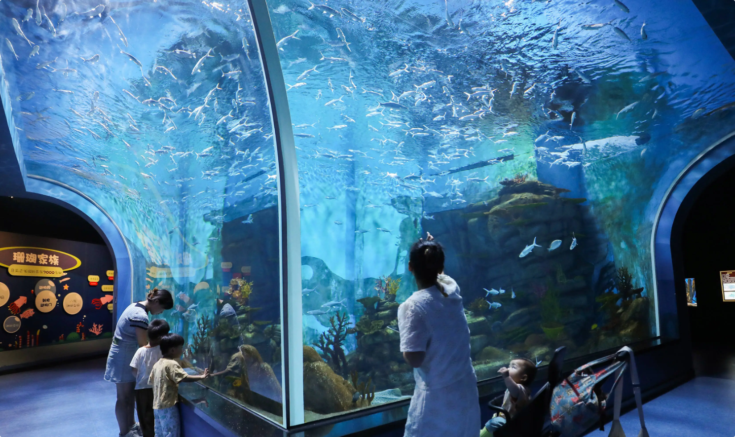 伯金斯2000KW水族馆发电机出租租赁